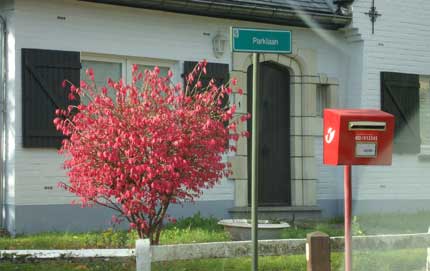 το φθινόπωρο δεν υποχρεούται να μελαγχολήσει 