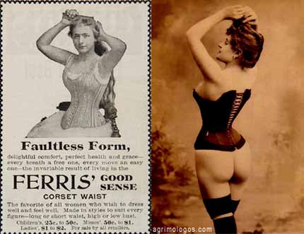 stenos_corses stenos_corses