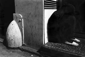 Ph_AlbaneseGerard_2006 Ph_AlbaneseGerard_2006