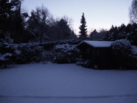 Σήμερα, πρωί, πριν το φως του ήλιου. Χιόνι, στα προάστια των Βρυξελλών -στον πίσω κήπο