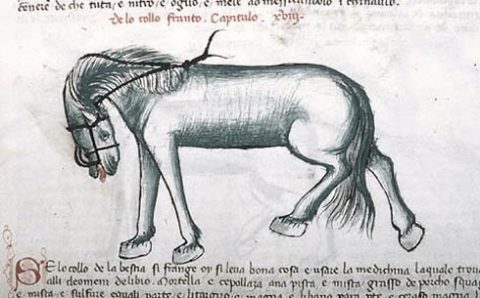 Από: Livro de la Menscalcia de li cavalli, -Apulia στην Ιταλία, αρχές 15ου αιώνα