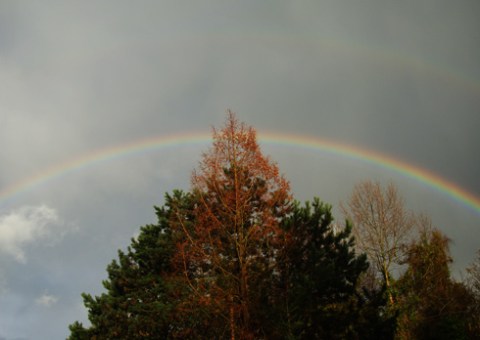 rainbow2-18-11-16