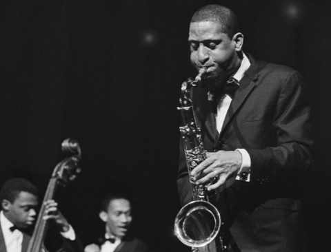 Sonny Rollins with Don Cherry and Henry Grimes at the Stockholm Concert Hall, January 17, 1963 / photo Ove Alström